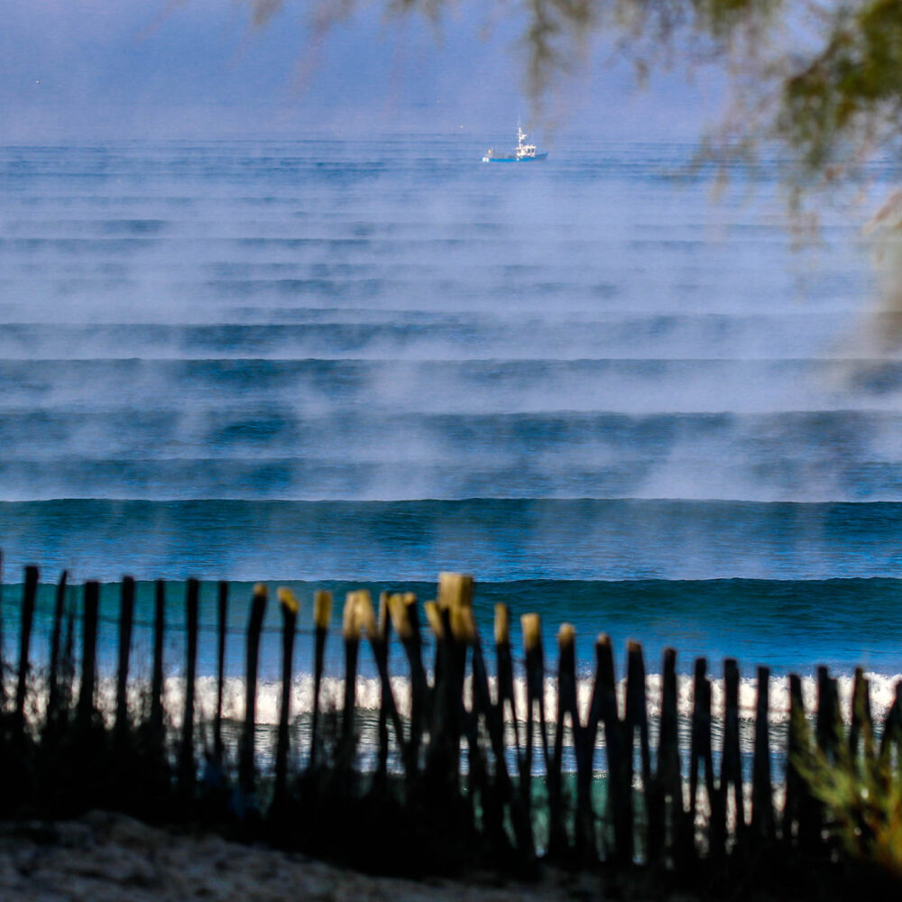 Brume matinale