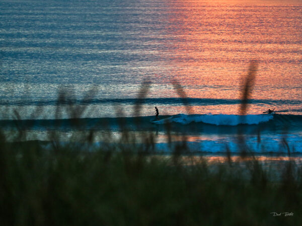 Toile imprimée - Sunset longboard